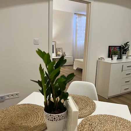 The Best Apartment Prague